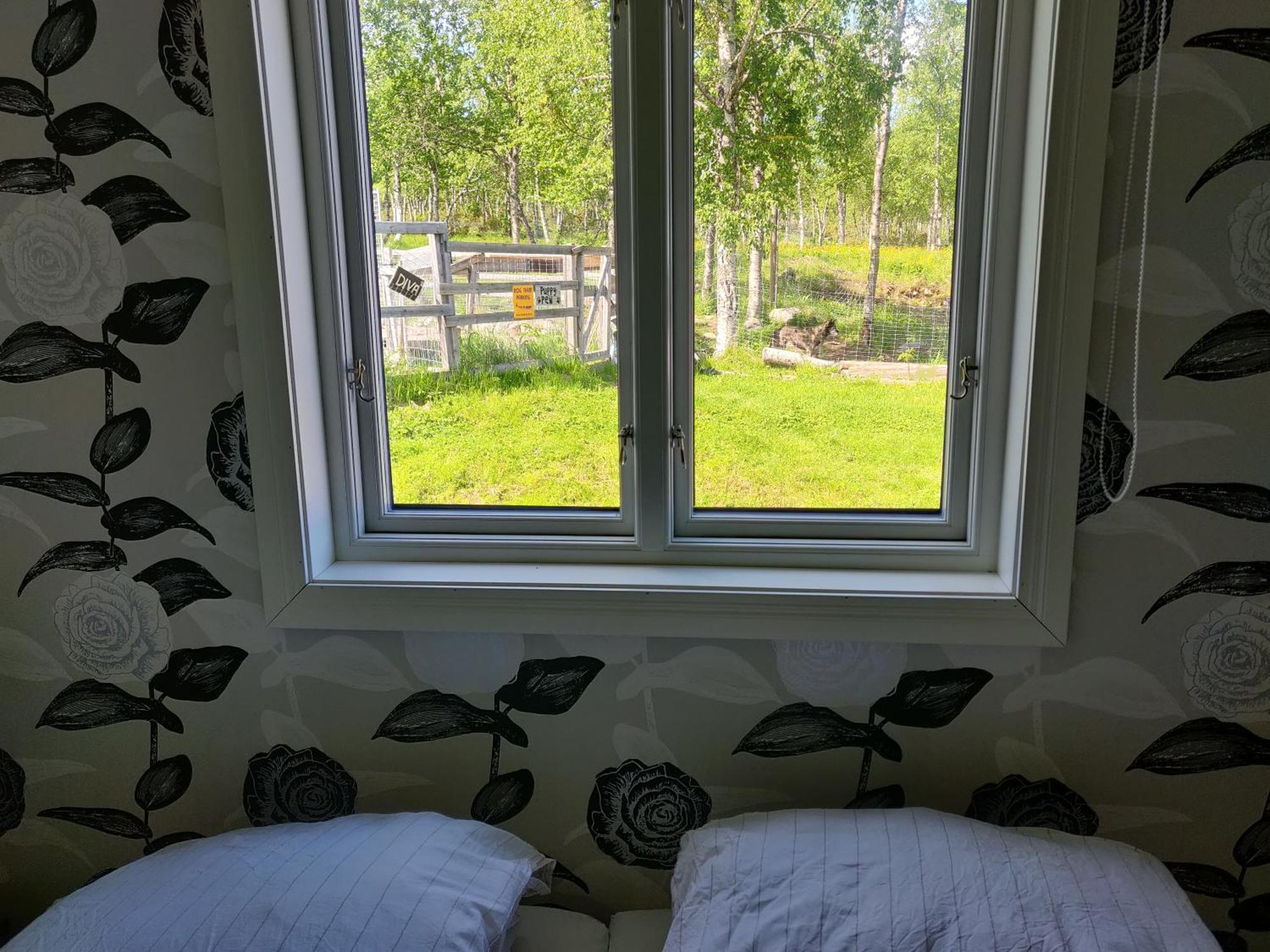 Husky Lodge Hostel คิรูนา ห้อง รูปภาพ