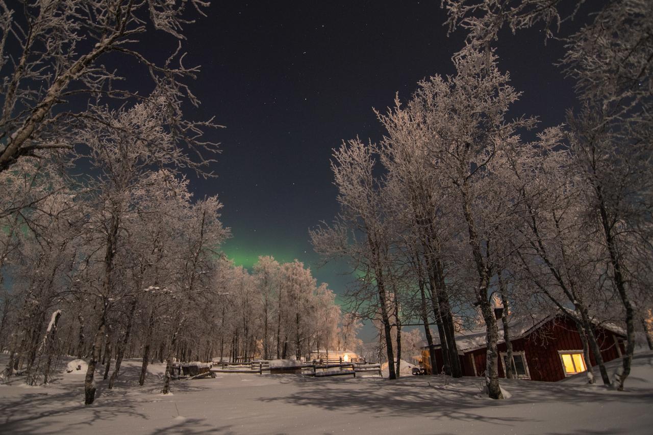 Husky Lodge Hostel คิรูนา ภายนอก รูปภาพ