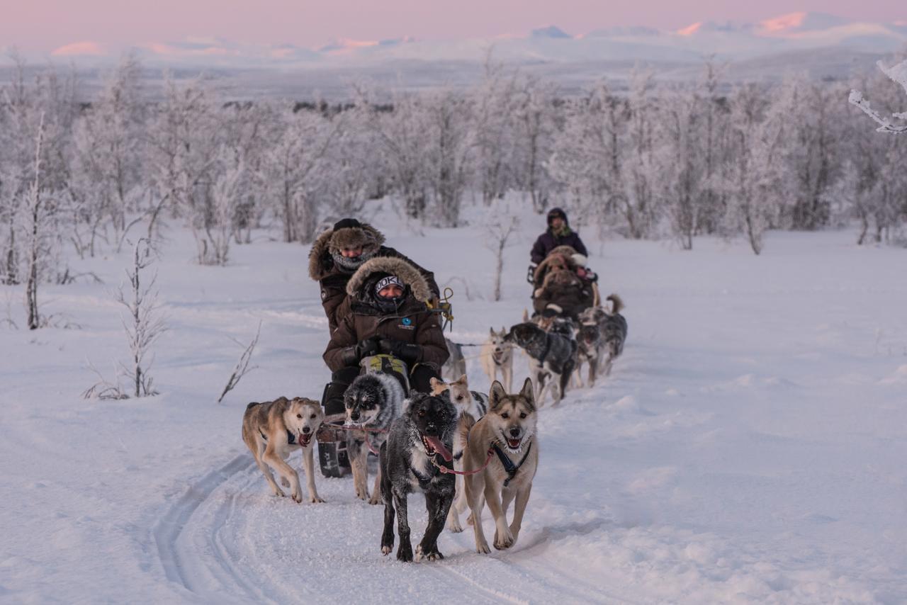 Husky Lodge Hostel คิรูนา ภายนอก รูปภาพ