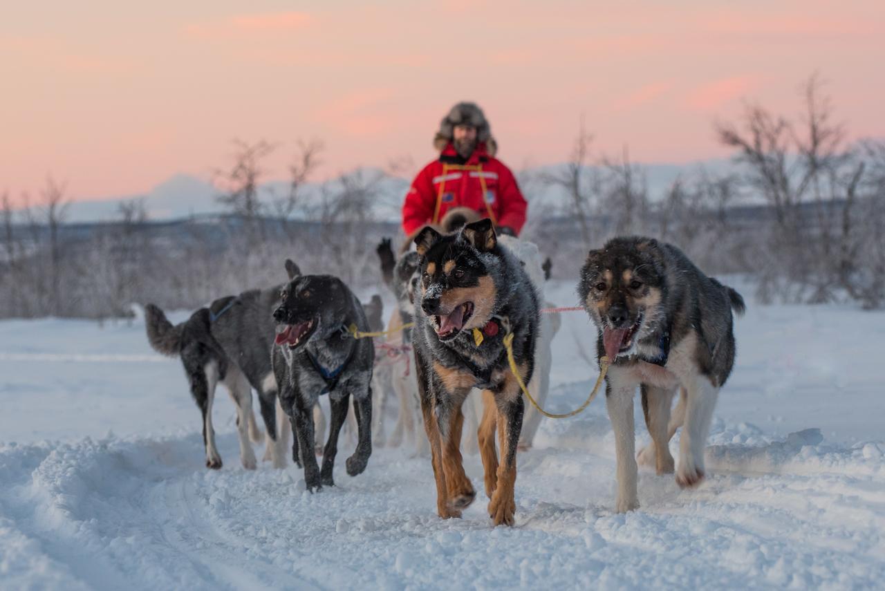 Husky Lodge Hostel คิรูนา ภายนอก รูปภาพ